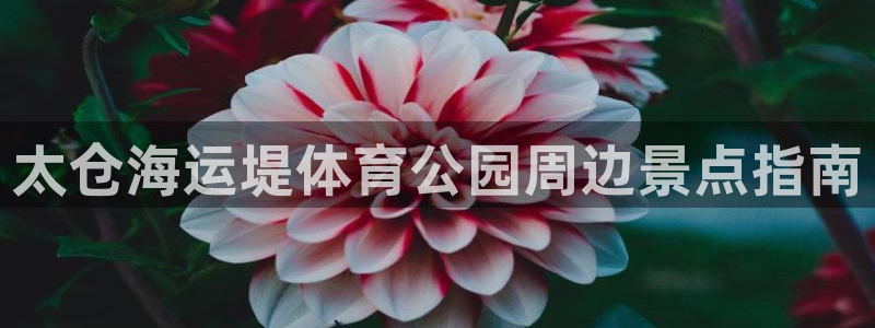 公海赌船赌博