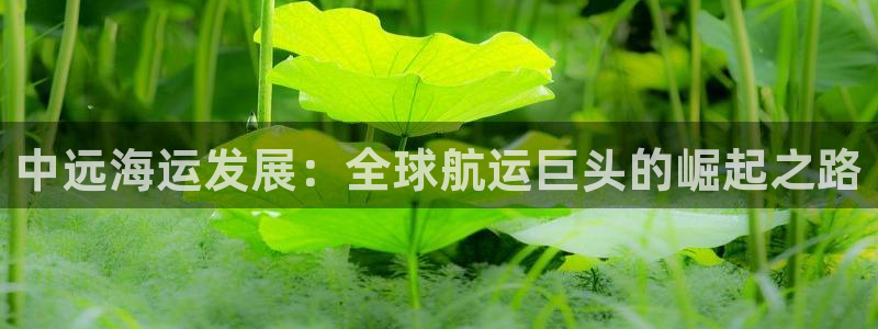 欢迎您来到公海