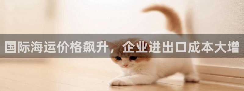 公海赌钱很大吗