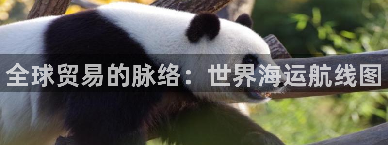 公海欢迎来到赌船