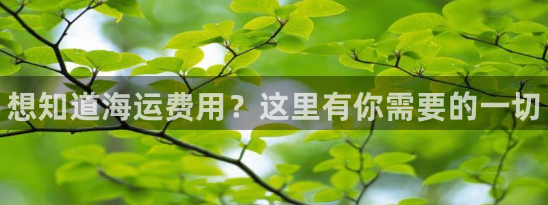 公海赌赌船官网jc710