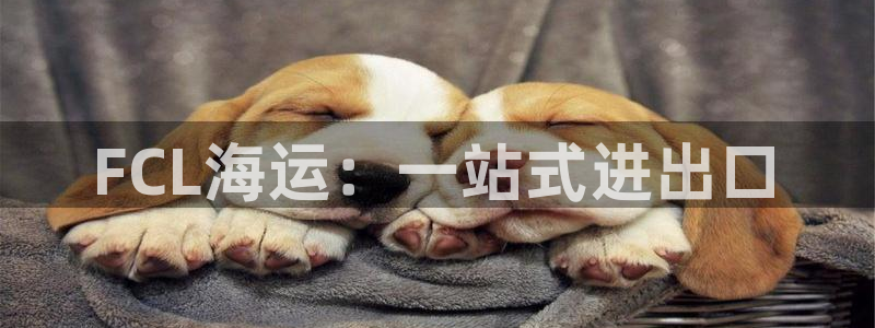 欢迎来到公海710官网