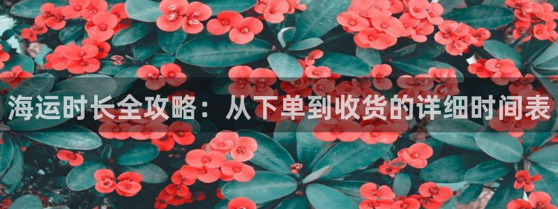欢迎来到海牛星简谱