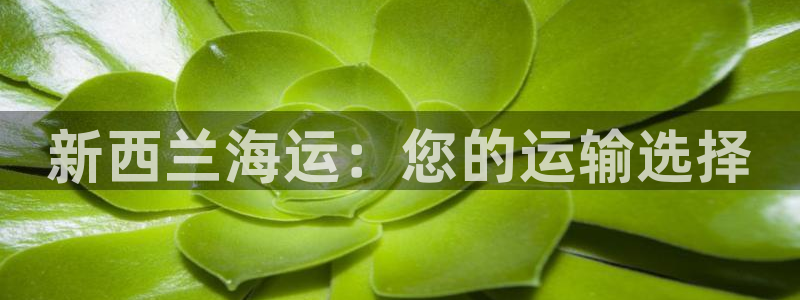 公海赌赌船官网真的吗