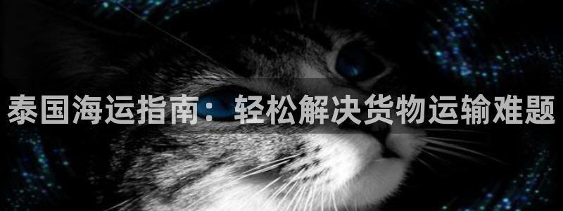 公海赌博为什么没人管