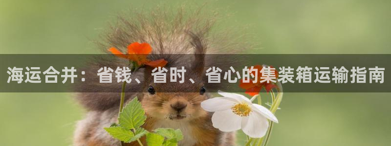 欢迎你来到公海欢迎你来到赌船