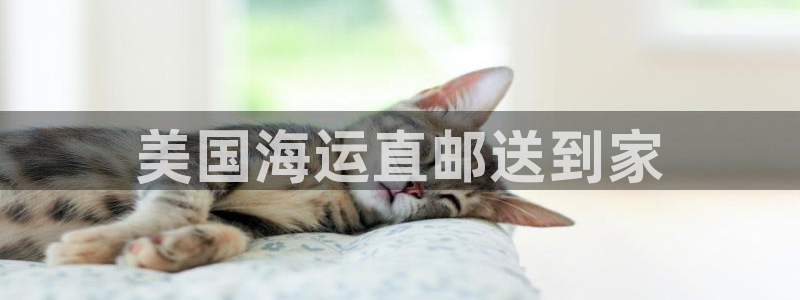 欢迎来公海欢迎来到船701