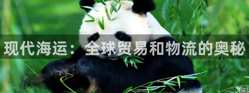 公海赌赌船快速充值