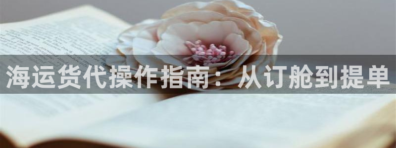 在公海赌博犯法吗
