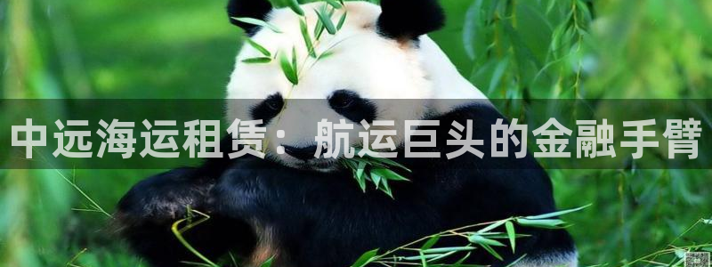 公海赌赌船官网jc710公海