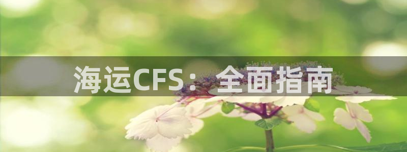 公海赌博怎么处理