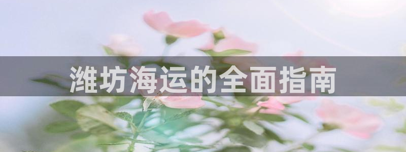 欢迎来到公海