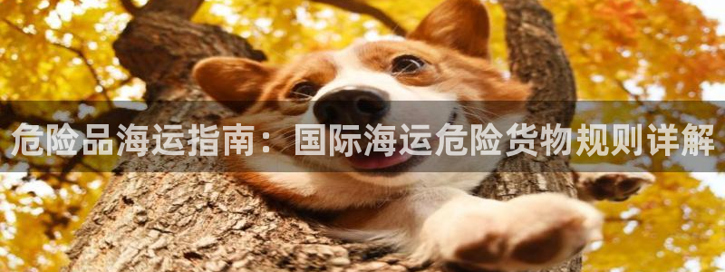 欢迎来到赌船公海710