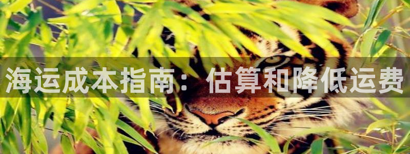 欢迎你来到公海欢迎你来到赌船