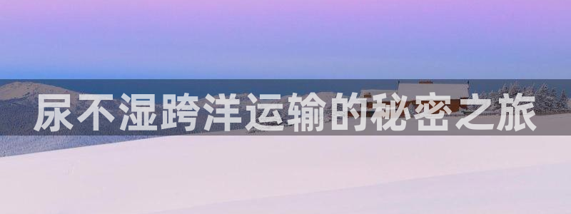 去公海赌博