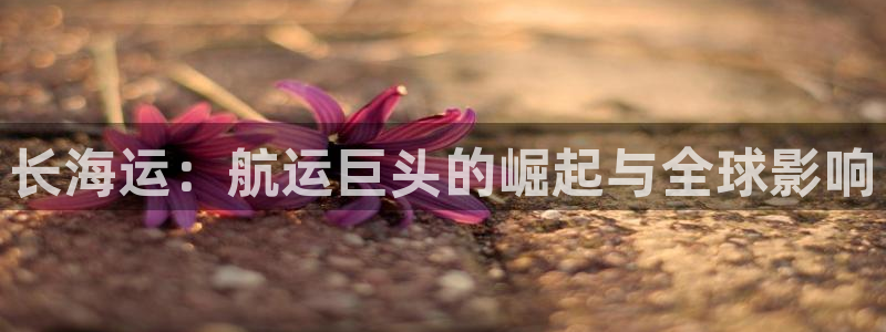 公海赌博犯法吗