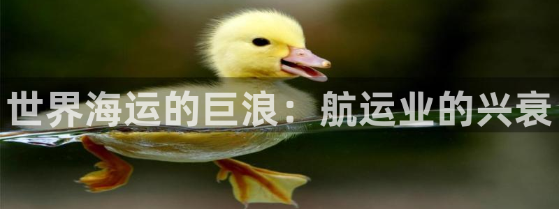 欢迎来到公海手机版710