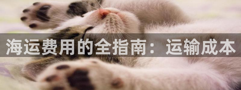 公海赌赌船官网jc710公海