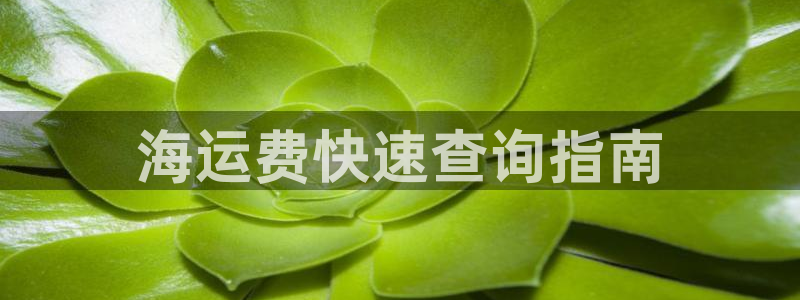 公海赌船网址710