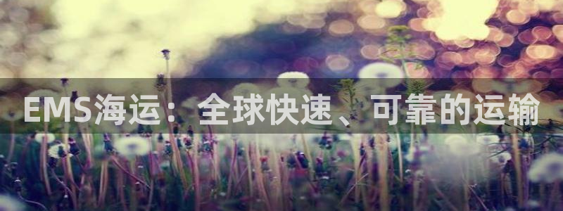 公海赌赌船官网jc7