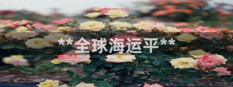 欢迎来到 公园
