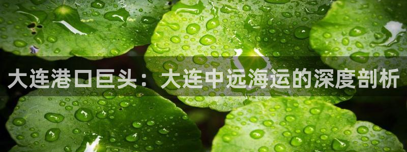 欢迎来到公海7108