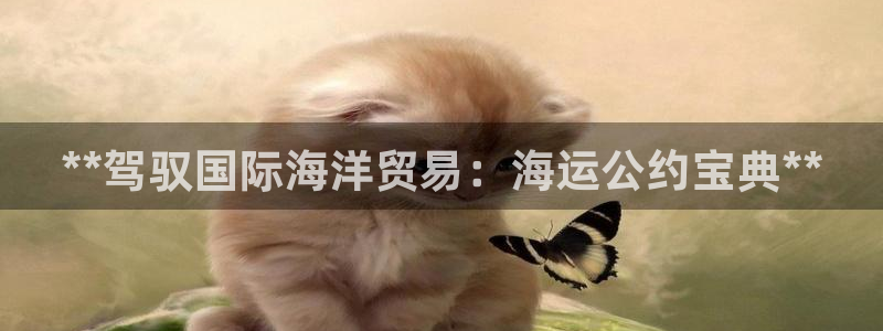 欢迎你来到公海赌