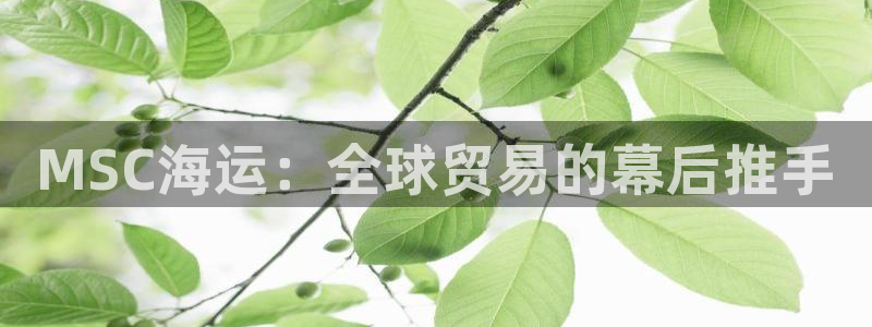 欢迎公海来到赌船710_首页(欢迎您)