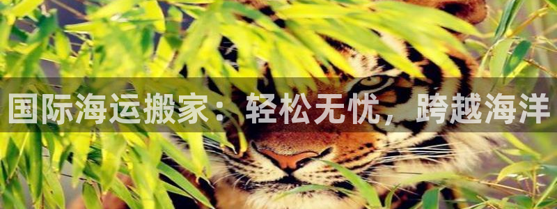 欢迎您到公海赌来