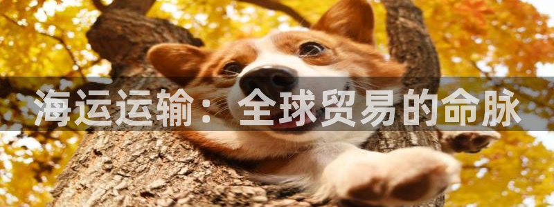 公海赌船吧