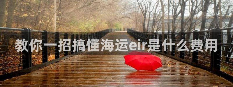 公海赌博为什么没人管