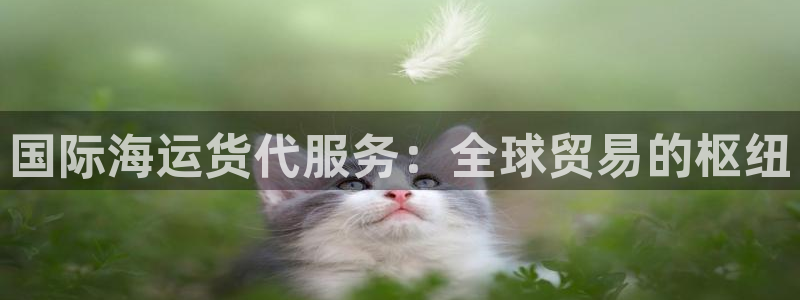 公海赌赌船系统维护要多久